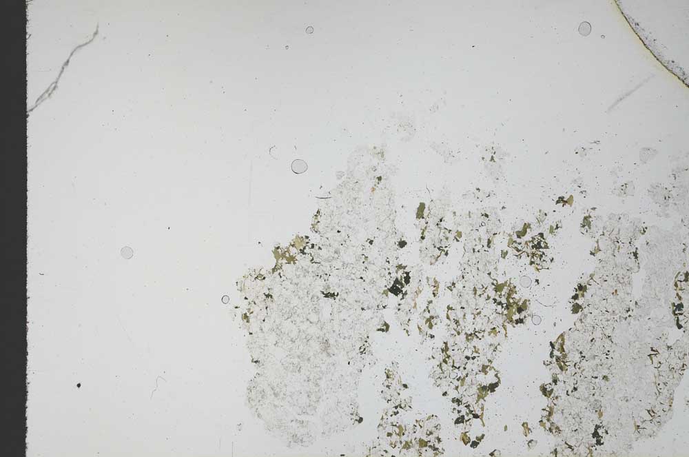 Plane Polarized, S11670