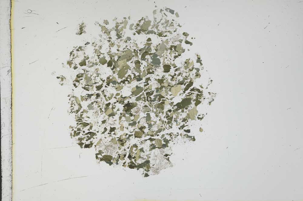 Plane Polarized, S11674