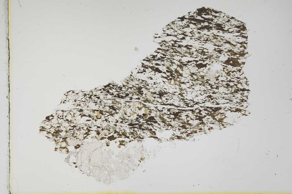 Plane Polarized, S11675