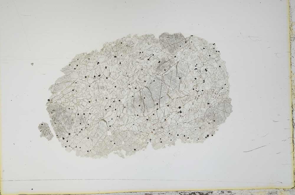 Plane Polarized, S11676