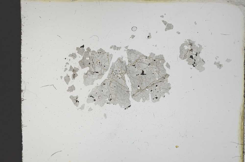 Plane Polarized, S11678