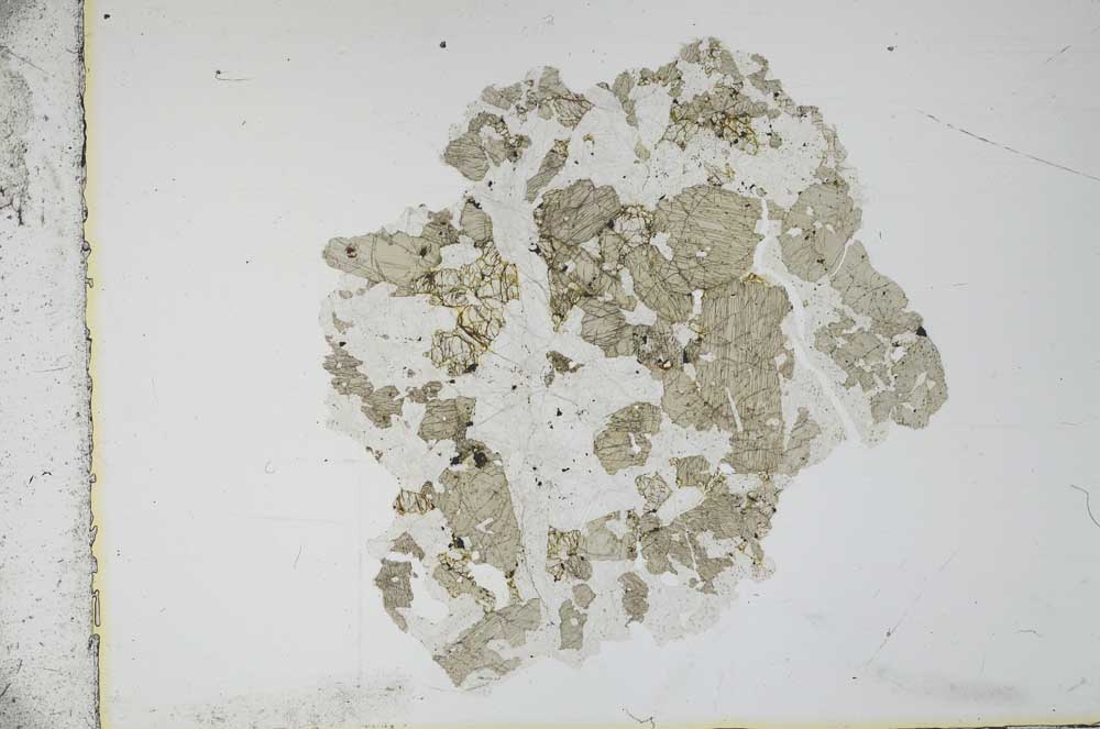 Plane Polarized, S11679