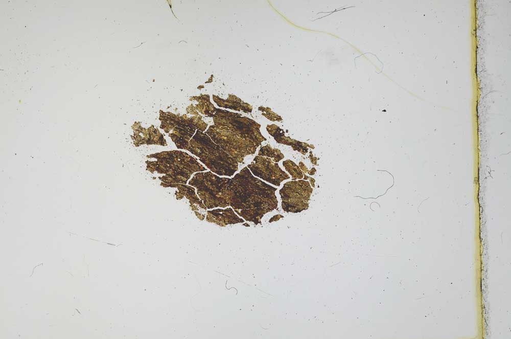 Plane Polarized, S11687
