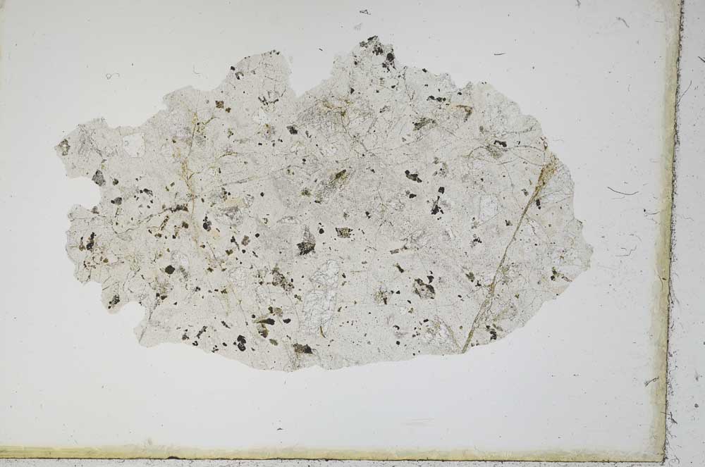 Plane Polarized, S11688