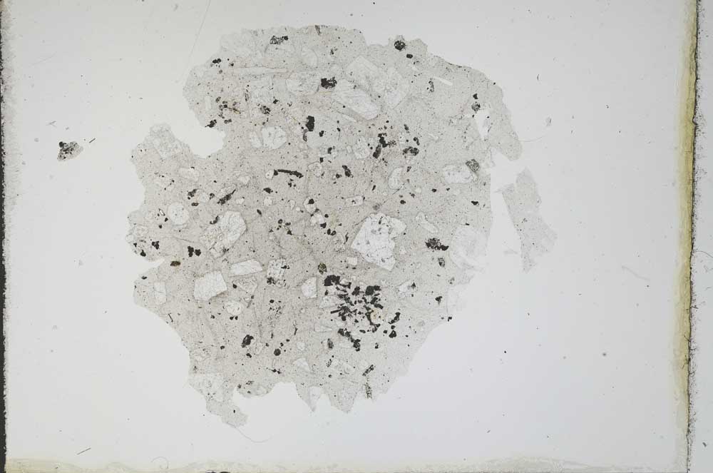 Plane Polarized, S11689