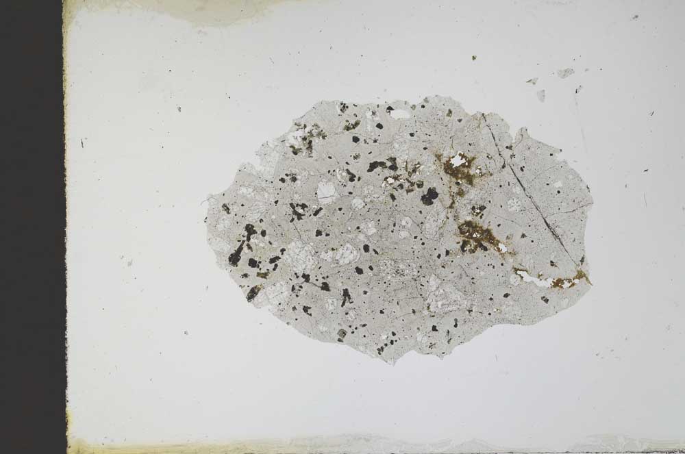 Plane Polarized, S11690