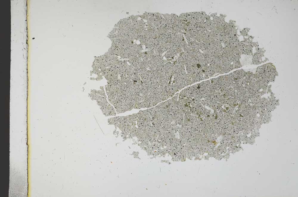 Plane Polarized, S11699