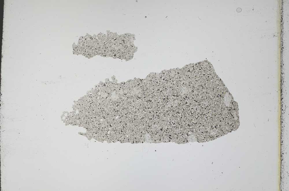 Plane Polarized, S11702