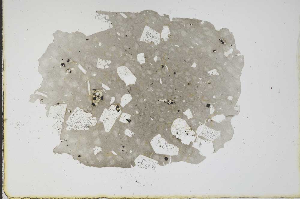 Plane Polarized, S11716