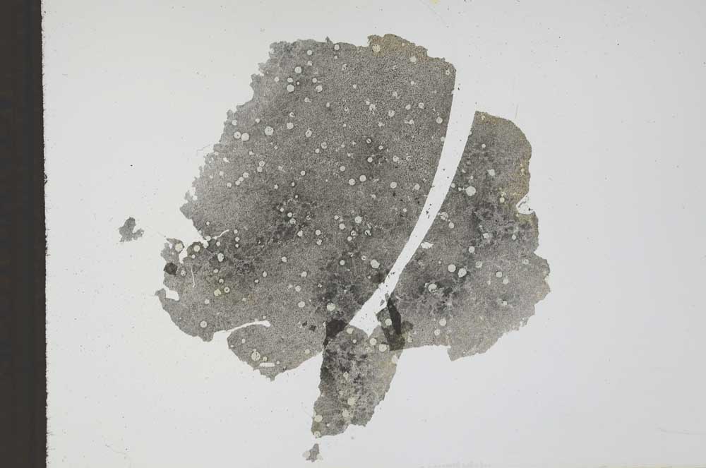 Plane Polarized, S11717