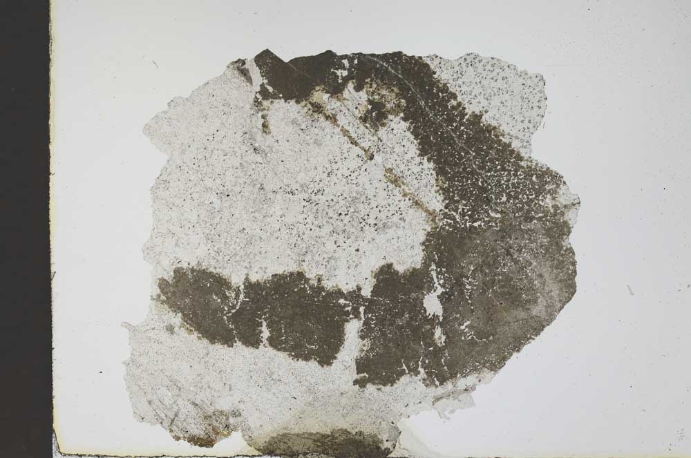 Plane Polarized, S11720