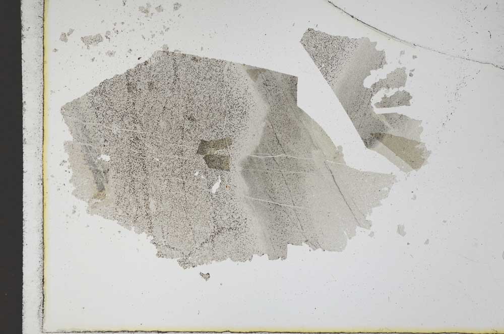 Plane Polarized, S11721/A