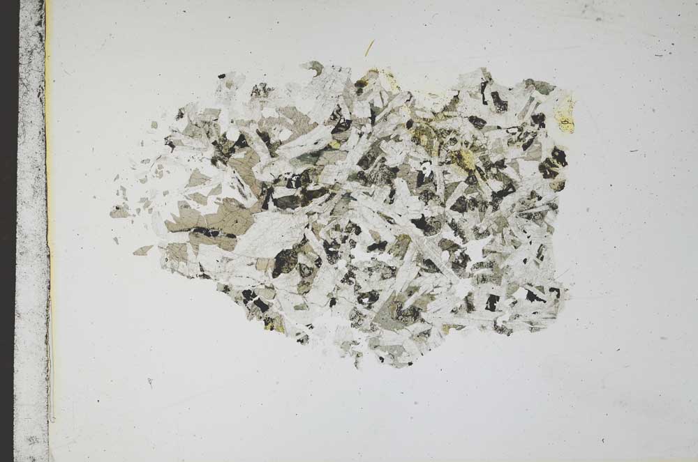 Plane Polarized, S11728