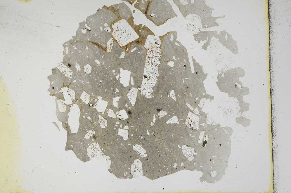 Plane Polarized, S11735