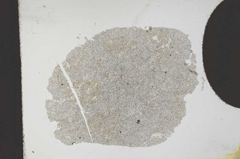Plane Polarized, S11738/A