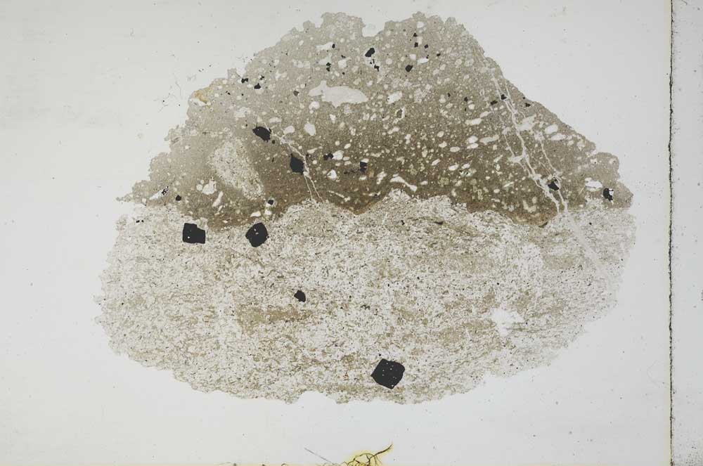 Plane Polarized, S11739