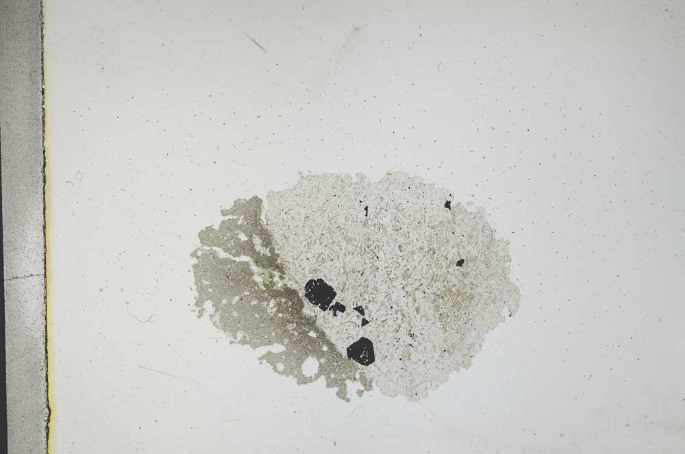 Plane Polarized, S11740