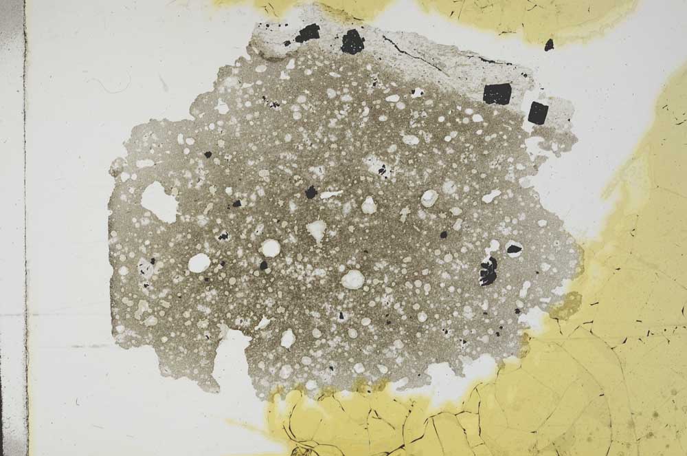 Plane Polarized, S11741