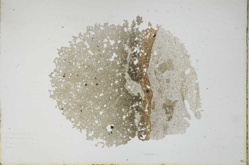 Plane Polarized, S11742