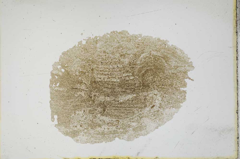 Plane Polarized, S11751