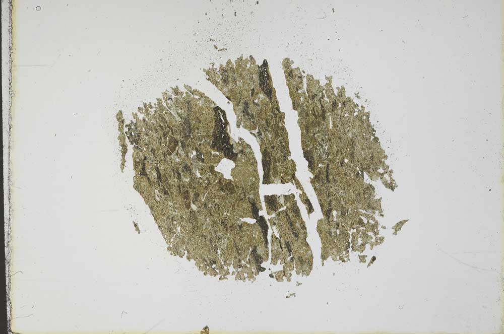 Plane Polarized, S11757