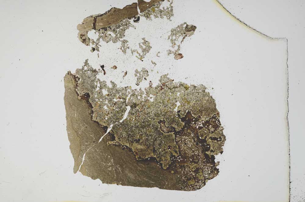 Plane Polarized, S11759