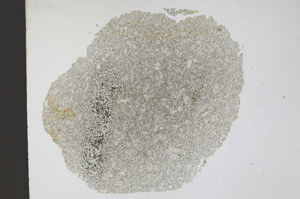 Plane Polarized, S11763