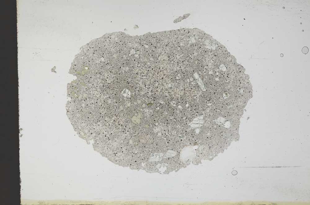 Plane Polarized, S11769