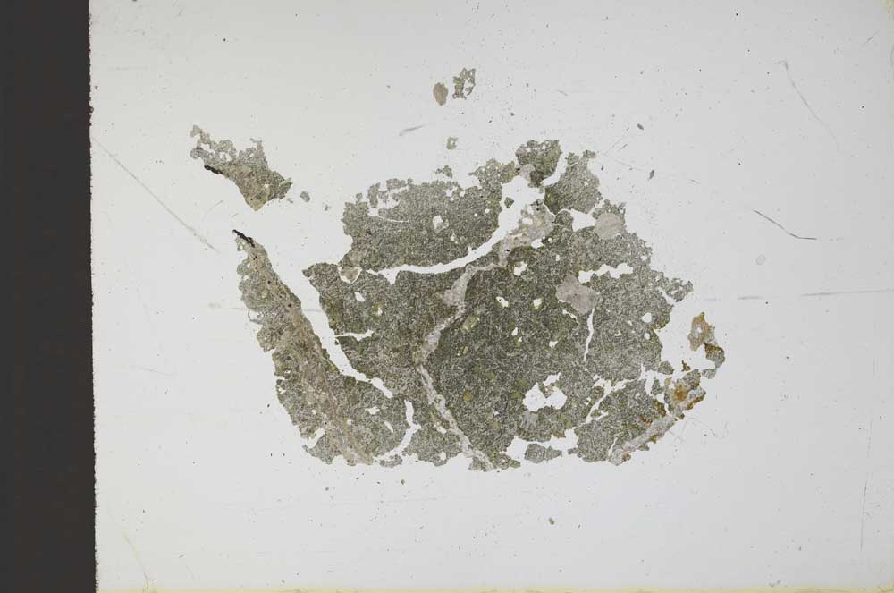 Plane Polarized, S11774