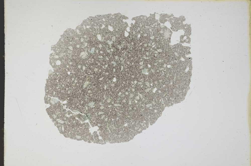 Plane Polarized, S11779