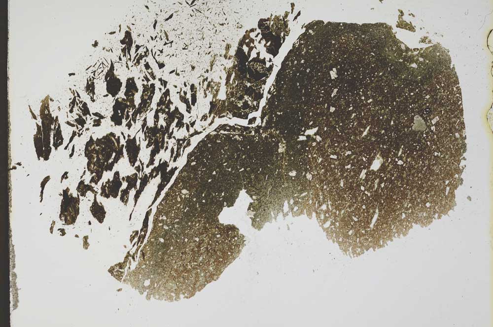 Plane Polarized, S11780