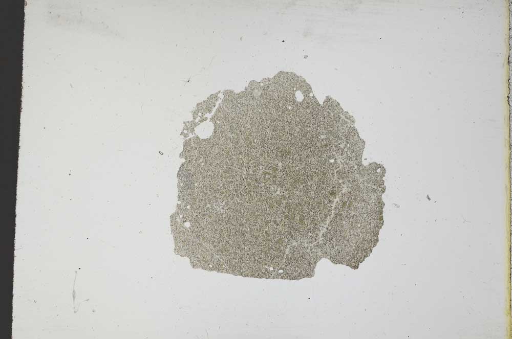 Plane Polarized, S11782