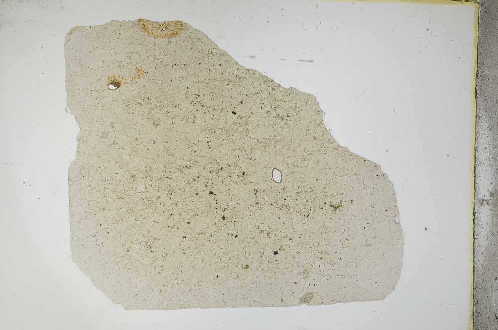 Plane Polarized, S11786