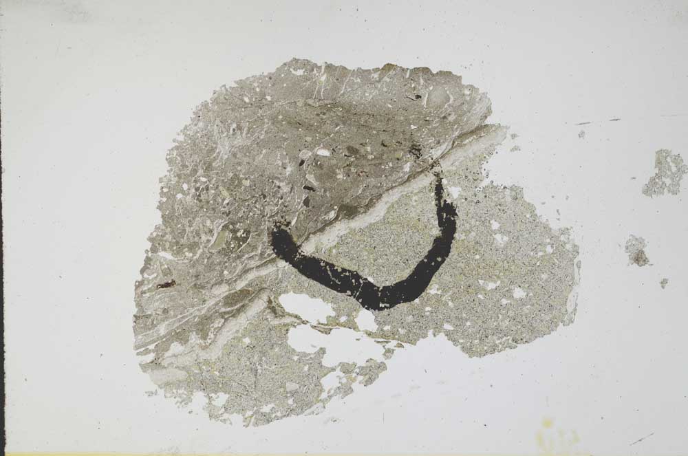 Plane Polarized, S11787
