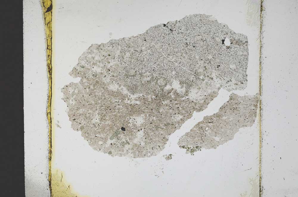 Plane Polarized, S11788