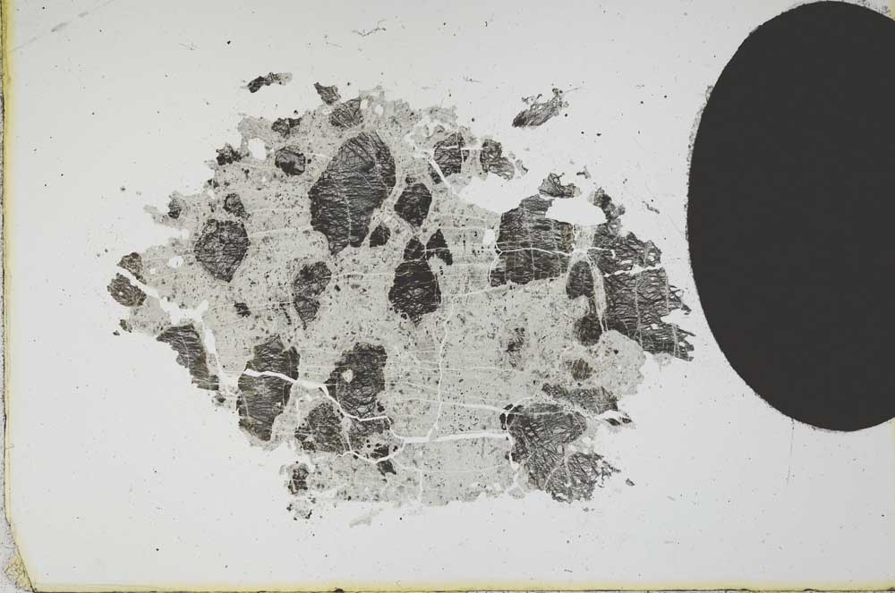 Plane Polarized, S11791