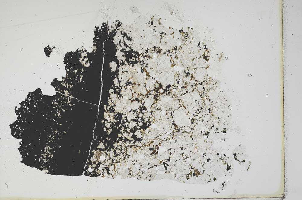 Plane Polarized, S11794