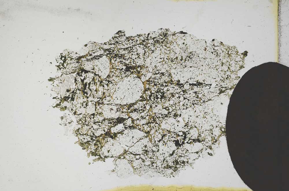 Plane Polarized, S11796