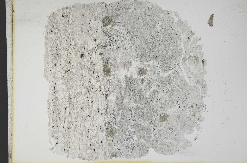 Plane Polarized, S11798