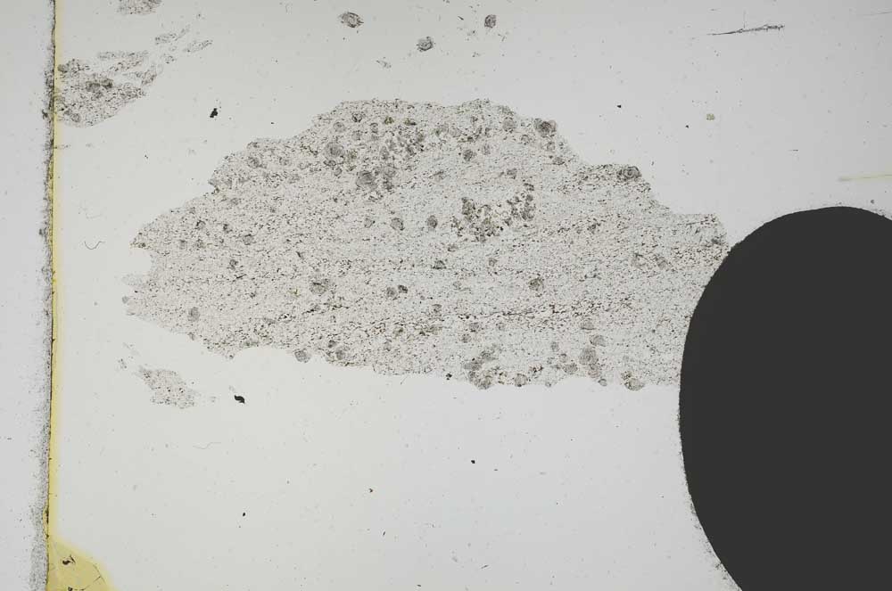 Plane Polarized, S11801/A