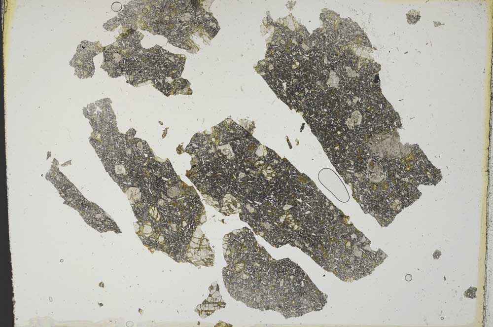 Plane Polarized, S11808