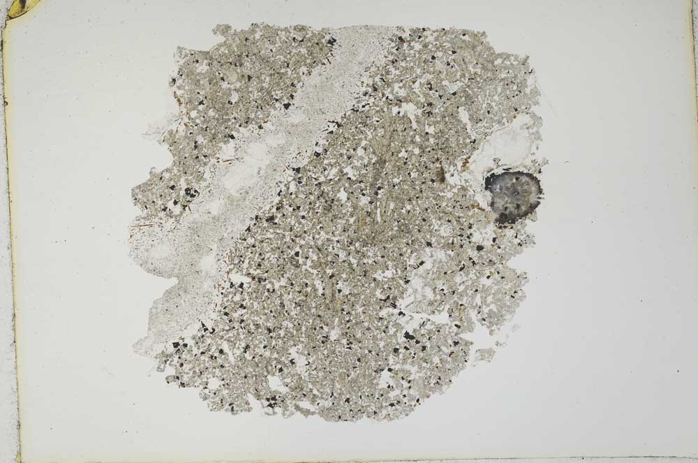 Plane Polarized, S11816