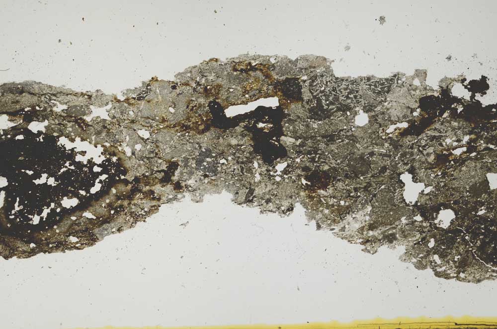Plane Polarized, S1990