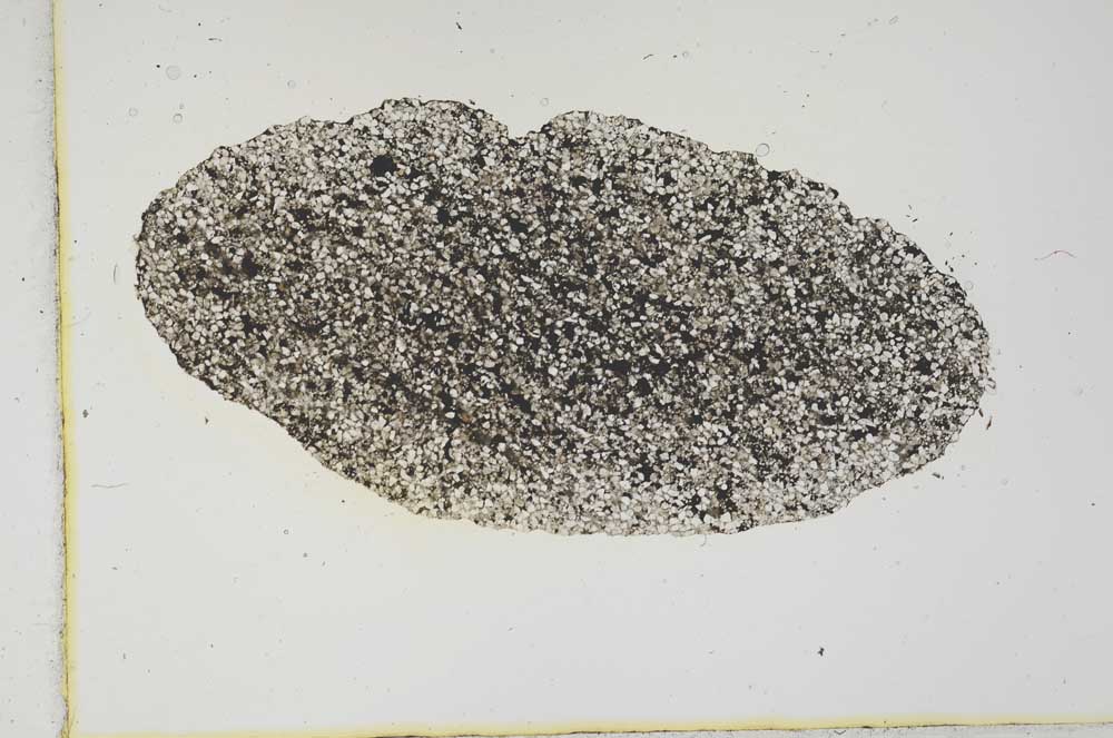 Plane Polarized, S1996