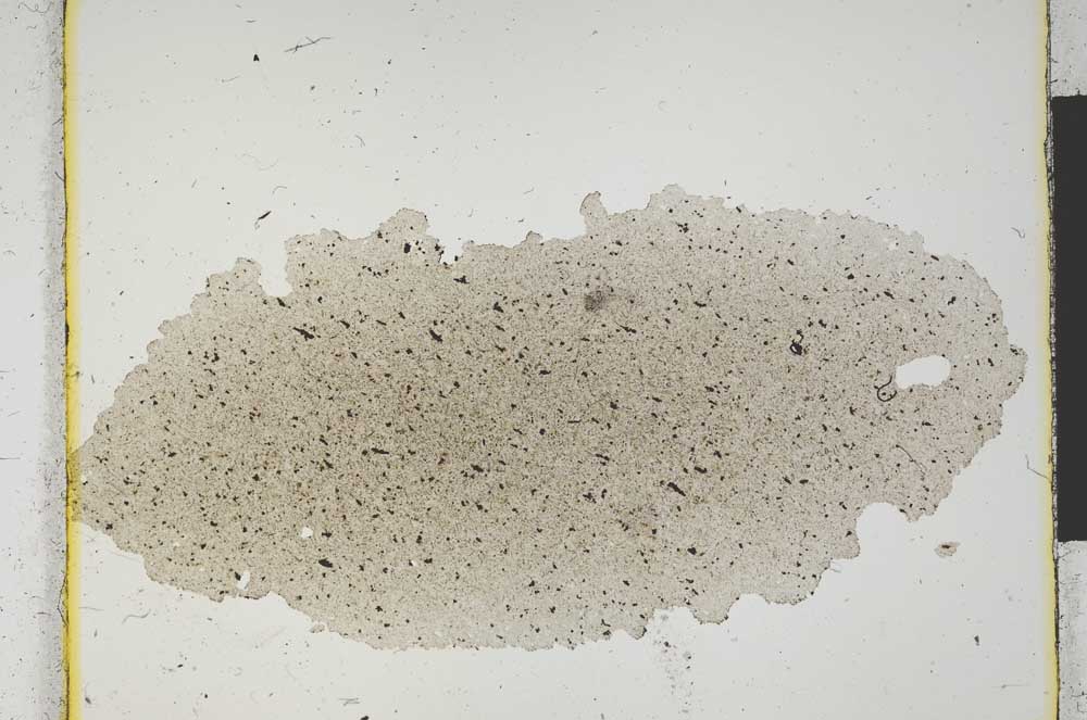 Plane Polarized, S2005