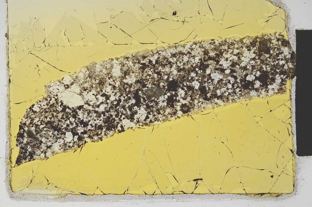 Plane Polarized, S2010