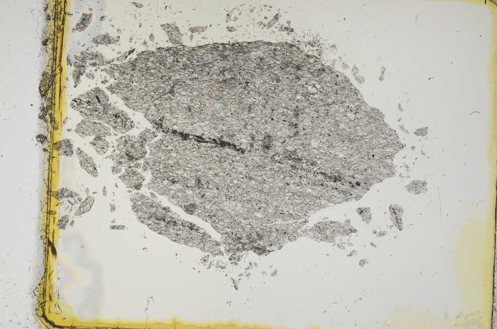 Plane Polarized, S2011