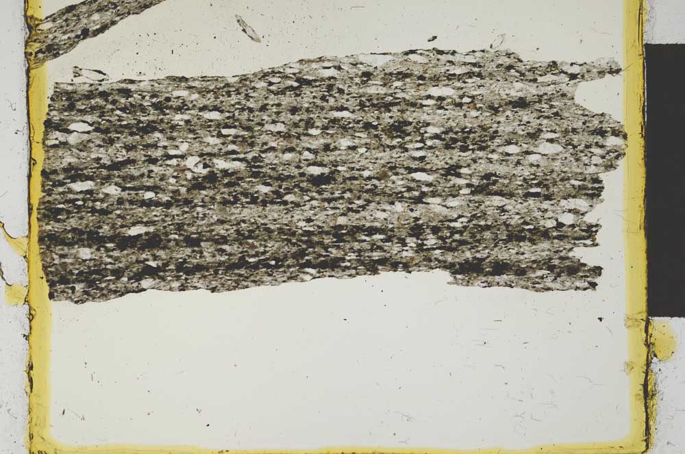 Plane Polarized, S2031