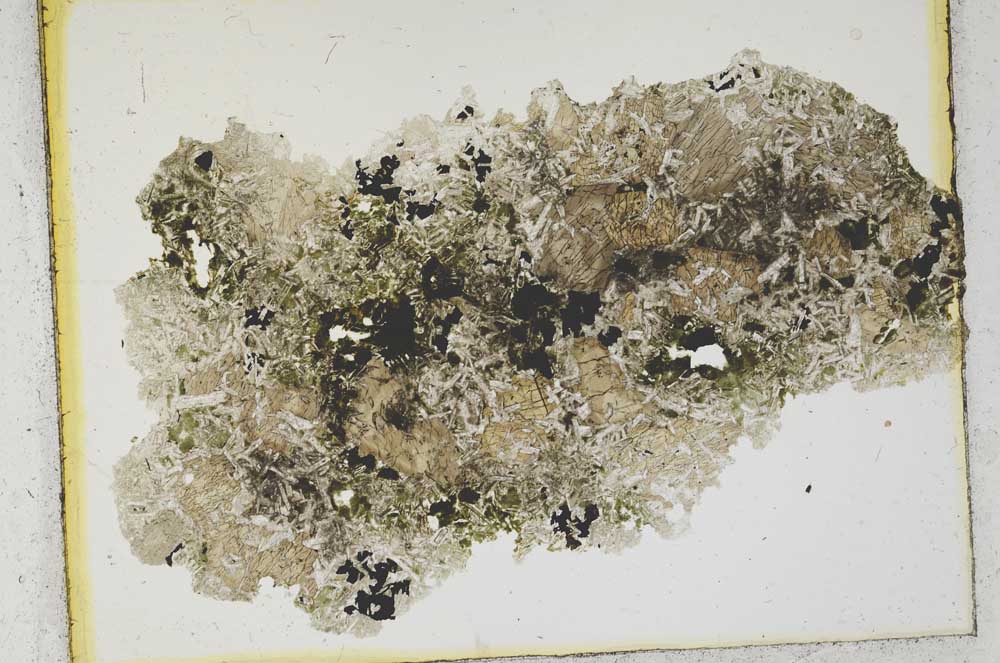 Plane Polarized, S2050