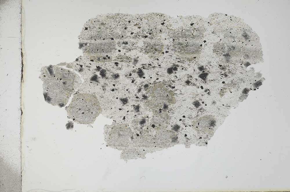 Plane Polarized, S2073